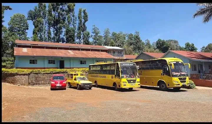 buses